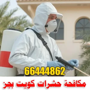 مكافحة حشرات كويت بجز